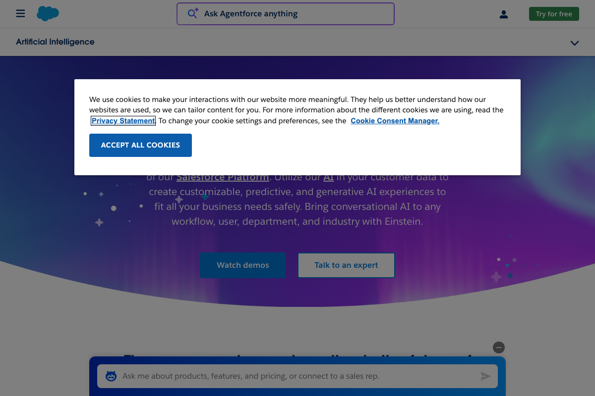 Salesforce Einstein Interface Screenshot